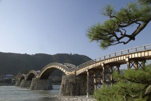 Beautiful Japanese pine tree frames the Kintai Bridge and castle on the ridge.